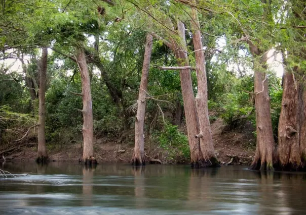 El popular río de Tamaulipas que está a 20 minutos de Ciudad Victoria y llegas por esta carretera