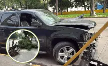 Suburban pierde control, derriba árbol y conductor es detenido en CDMX