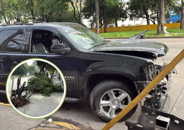 Suburban pierde control, derriba árbol y conductor es detenido en CDMX