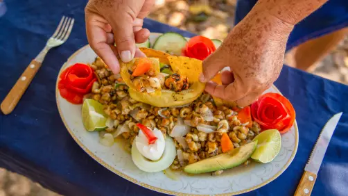 Las chivitas, de conquistar la cocina yucateca a estar en peligro