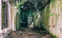 Esta es la historia del Disneyland Maya abandonado en la selva de Yucatán