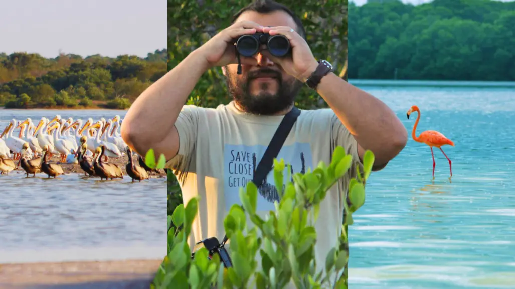 3 destinos de Yucatán perfectos para el avistamiento de aves nativas