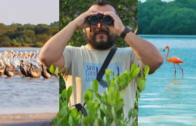 3 destinos de Yucatán perfectos para el avistamiento de aves nativas