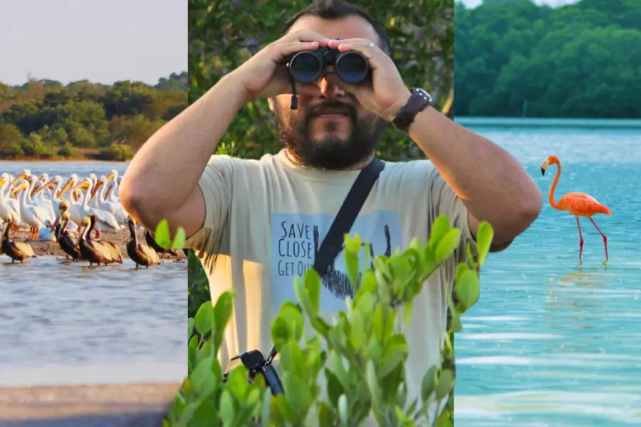 3 destinos de Yucatán perfectos para el avistamiento de aves nativas