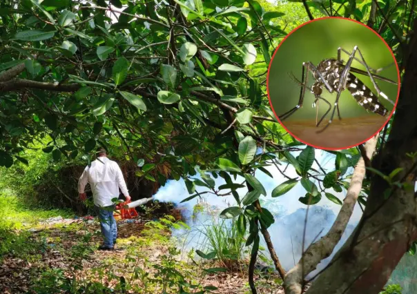 Lluvias e inundaciones provocan aparición del mosquito transmisor del dengue