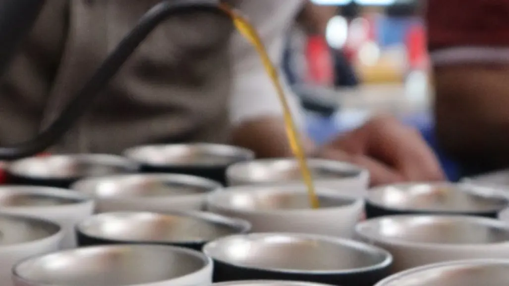 Expo café 2025 llega a CDMX; conoce fechas, actividades y dónde será