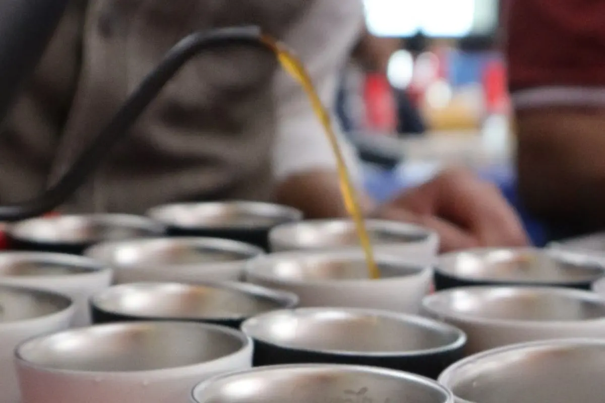 Barista sirviendo café. Foto: Facebook (@ExpoCafé)