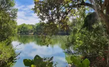 Esta carretera atraviesa México y te lleva de CDMX a Nayarit en 8 horas