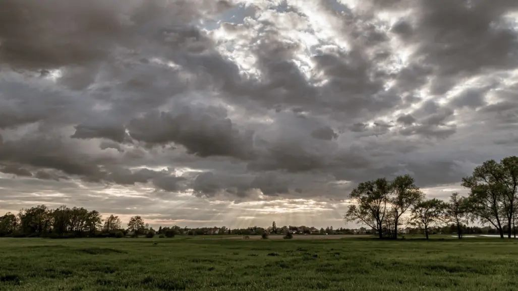 Pronóstico del tiempo en Tamaulipas HOY 5 julio: lluvias y altas temperaturas