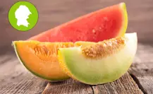 Estos son los municipios de Coahuila que exportan melón y sandía
