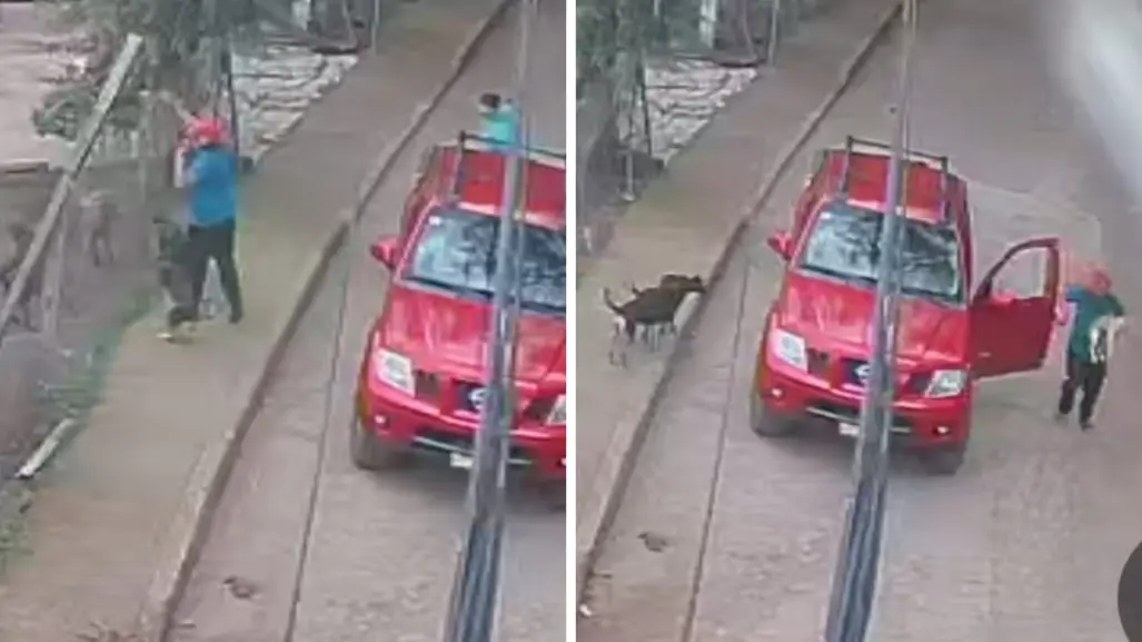 Hombre arroja a perrito a jauría que lo ataca hasta la muerte en Tenancingo | VIDEO