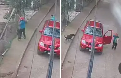 Hombre arroja a perrito a jauría que lo ataca hasta la muerte en Tenancingo | VIDEO