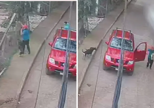 Hombre arroja a perrito a jauría que lo ataca hasta la muerte en Tenancingo | VIDEO