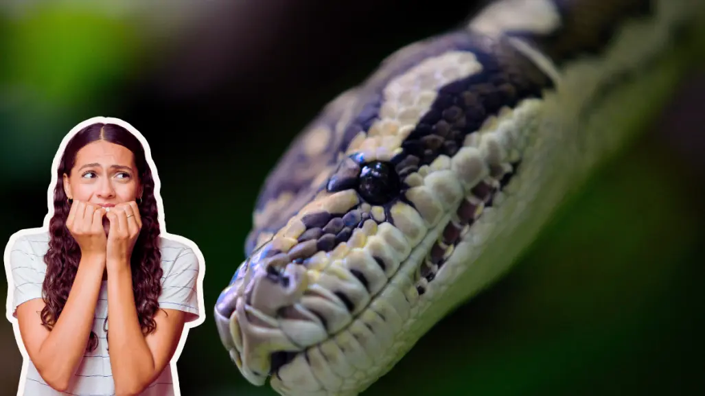 Animales nativos de Coahuila: las 3 serpientes más venenosas del territorio
