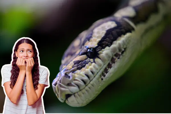Animales nativos de Coahuila: las 3 serpientes más venenosas del territorio