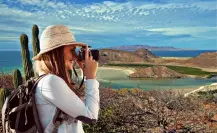 6 actividades familiares para disfrutar durante tus vacaciones 2025 en BCS