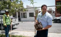 Se plantan más de 7 mil árboles en Saltillo, ¿qué empresas participaron?