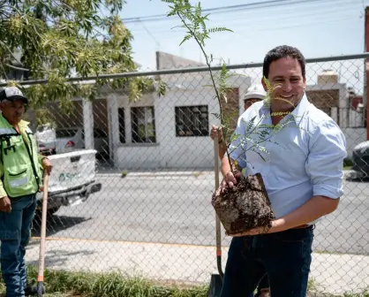 Se plantan más de 7 mil árboles en Saltillo, ¿qué empresas participaron?