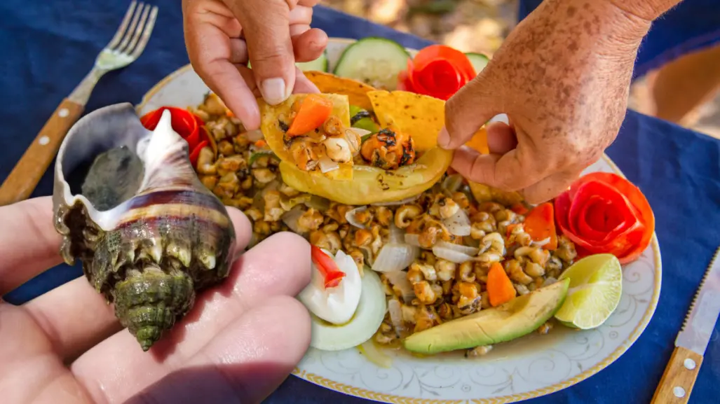 Las chivitas, de conquistar la cocina yucateca a estar en peligro