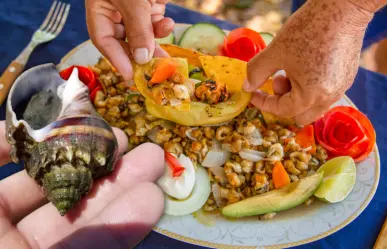 Las chivitas, de conquistar la cocina yucateca a estar en peligro