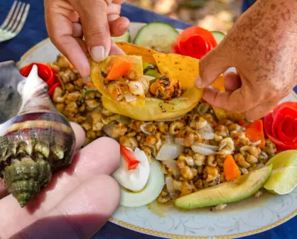 Las chivitas, de conquistar la cocina yucateca a estar en peligro