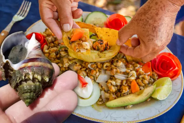 Las chivitas, de conquistar la cocina yucateca a estar en peligro