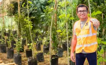 Félix Arratia impulsa un Juárez más verde con germinación de 3,000 árboles