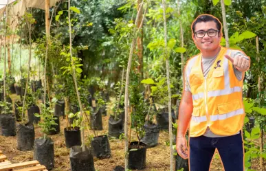 Félix Arratia impulsa un Juárez más verde con germinación de 3,000 árboles
