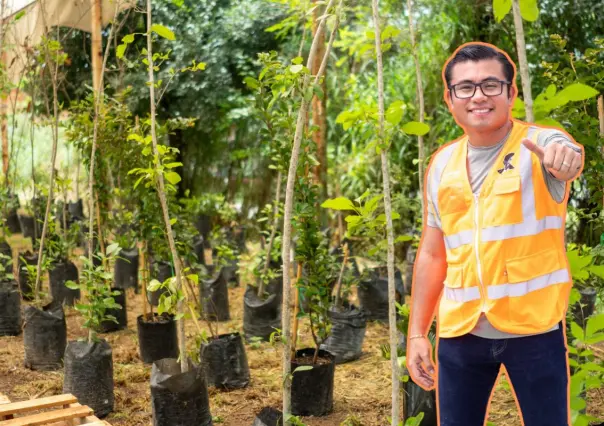 Félix Arratia impulsa un Juárez más verde con germinación de 3,000 árboles