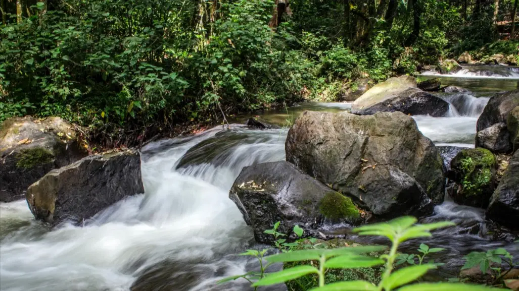 Este refugio natural del Edomex te sorprenderá con sus senderos rodeados de cascadas