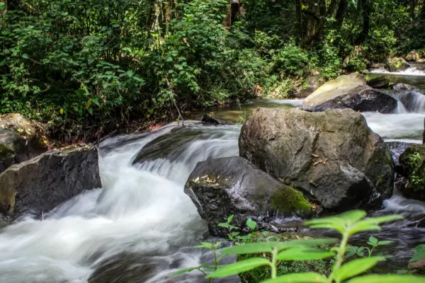 Este refugio natural del Edomex te sorprenderá con sus senderos rodeados de cascadas