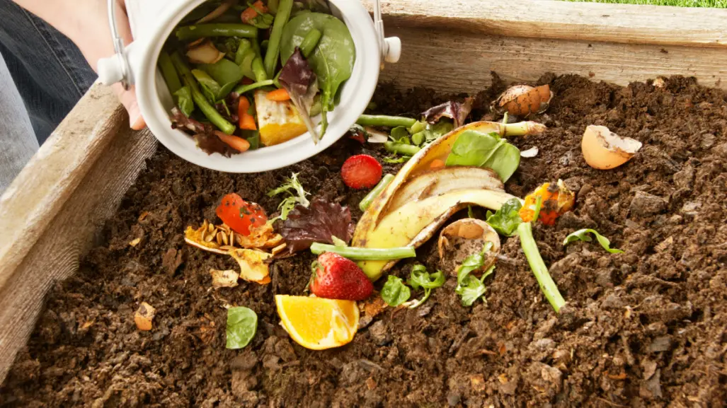 Guía práctica para hacer compost que no dejará tu casa oliendo mal