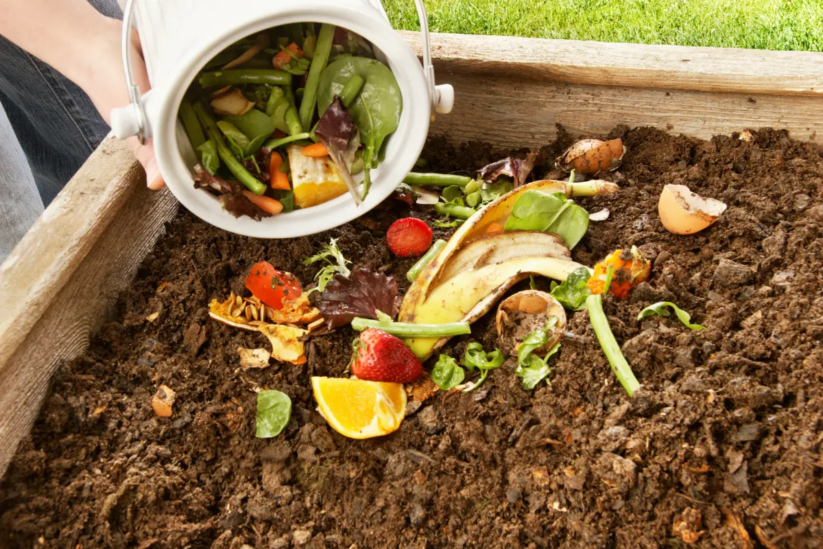 Aprender a hacer compost sin olores es fundamental para quienes buscan una vida más ecológica y sostenible en casa. Foto: Canva