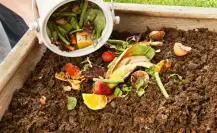Guía práctica para hacer compost que no dejará tu casa oliendo mal