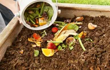 Guía práctica para hacer compost que no dejará tu casa oliendo mal