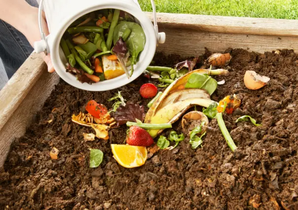 Guía práctica para hacer compost que no dejará tu casa oliendo mal