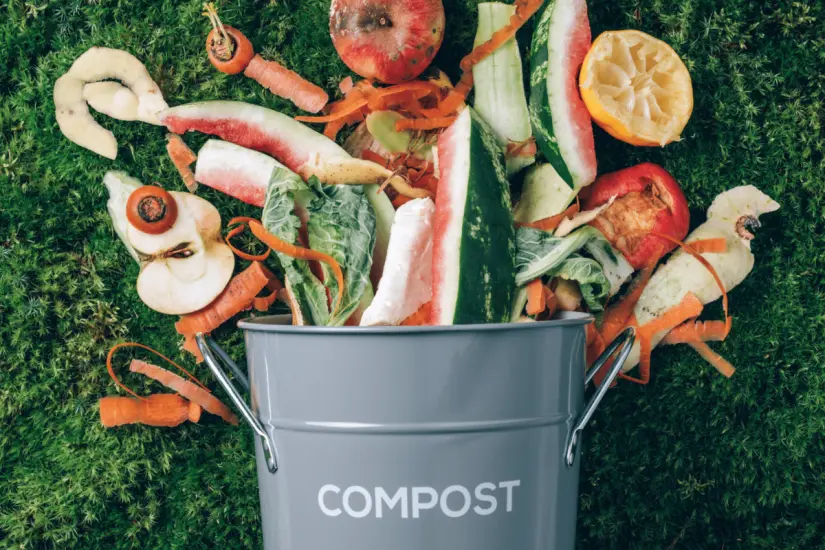 Crear compost en casa es una forma excelente de reciclar residuos sin producir malos olores si sigues estas recomendaciones. Foto: Canva