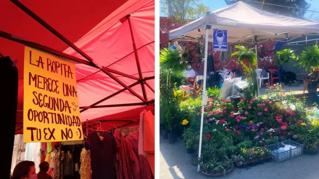 5 mercaditos de Saltillo a los que puedes ir en domingo