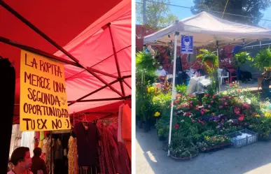 5 mercaditos de Saltillo a los que puedes ir en domingo