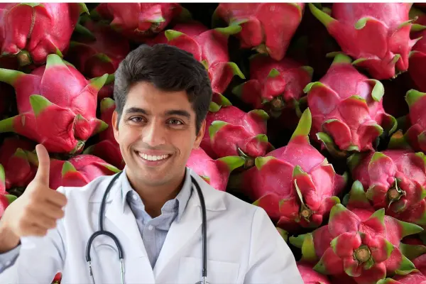 ¿Conoces la pitahaya de Yucatán?, así es el manjar exótico que no te puedes perder