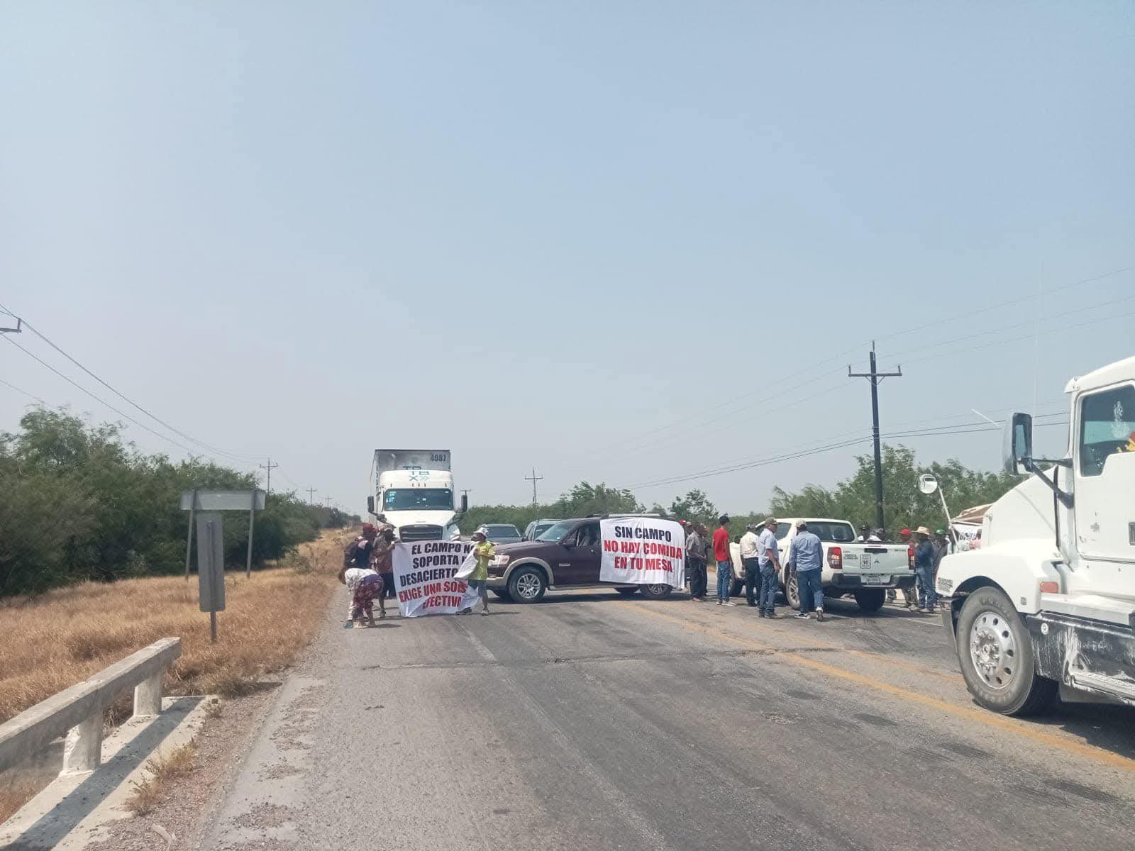 Productores de sorgo tienen dos meses buscando acercamiento con autoridades Federales y estatales Productores de sorgo tienen dos meses buscando acercamiento con autoridades Federales y estatales