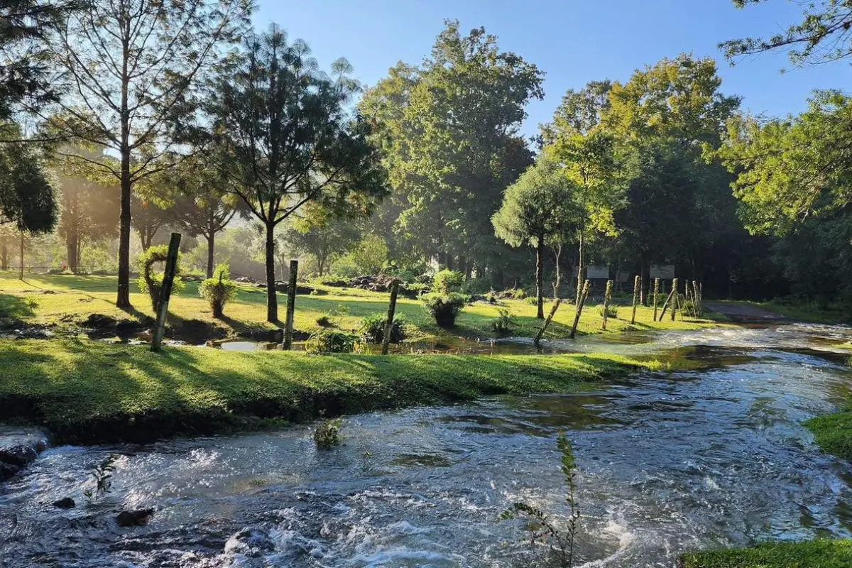 El área protegida abarca más de 144 mil hectáreas entre los municipios de Gómez Farías, Llera, Ocampo y Jaumave.. Foto: Facebook Biosfera El Cielo, Tamaulipas