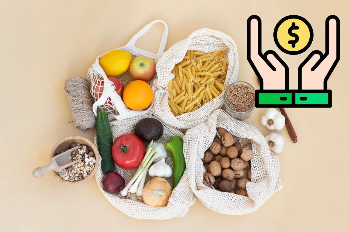 Productos de canasta básica, manos con una moneda y el signo de pesos. Foto: Freepick l Canva