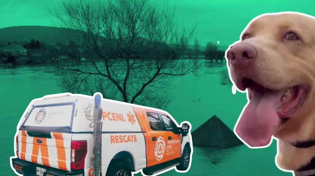 Así será el apoyo de Nuevo León tras inundaciones en Texas
