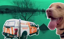 Así será el apoyo de Nuevo León tras inundaciones en Texas