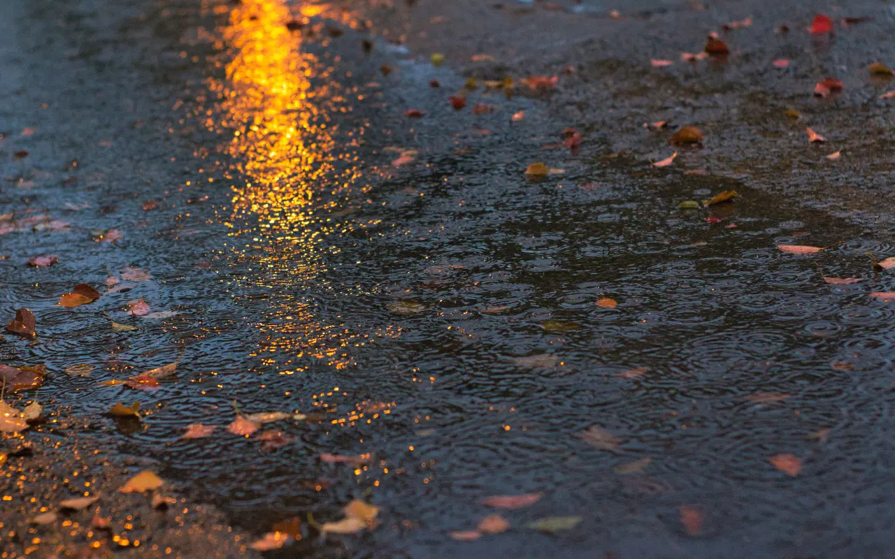 Gotas de lluvia ligera sobre el asfalto. Foto: Canva