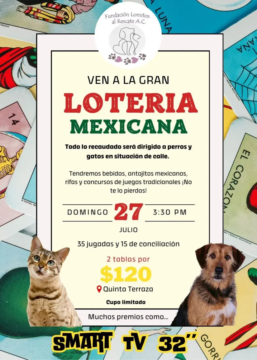 Convocatoria activa en Saltillo / Foto: Fundación Lomitos al Rescate A.C.