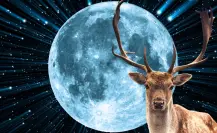 Los mejores paisajes que parecen sacados de Star Wars para ver la Luna del Ciervo en BCS