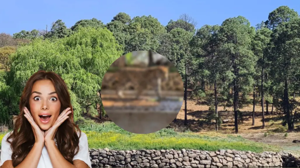 El paraíso natural del Edomex con todo para vacacionar: cabañas, lanchas y paseos a caballo