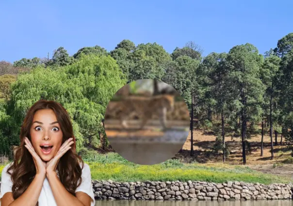 El paraíso natural del Edomex con todo para vacacionar: cabañas, lanchas y paseos a caballo